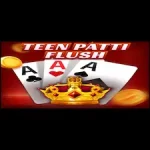 3 Patti Flush Game Logo