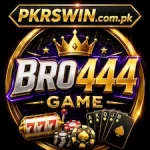 BRO444 Game Logo