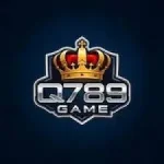 Q789 Game Logo