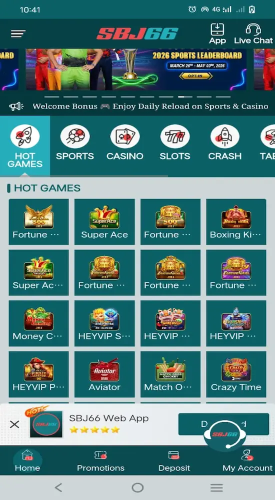 SBJ66  Game Logo