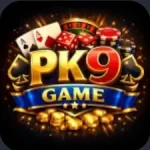 pk9 Game Logo